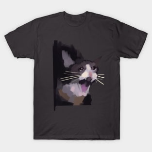 hilarious Crying cat meme T-Shirt